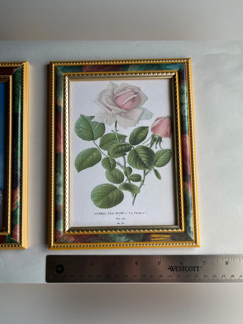 VTG Mixed Matls Burwood w/Goldtone & Floral Frames w/ Fine Art Prints-Set of 2